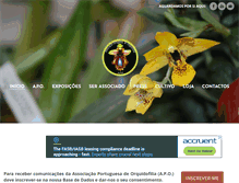 Tablet Screenshot of lusorquideas.com